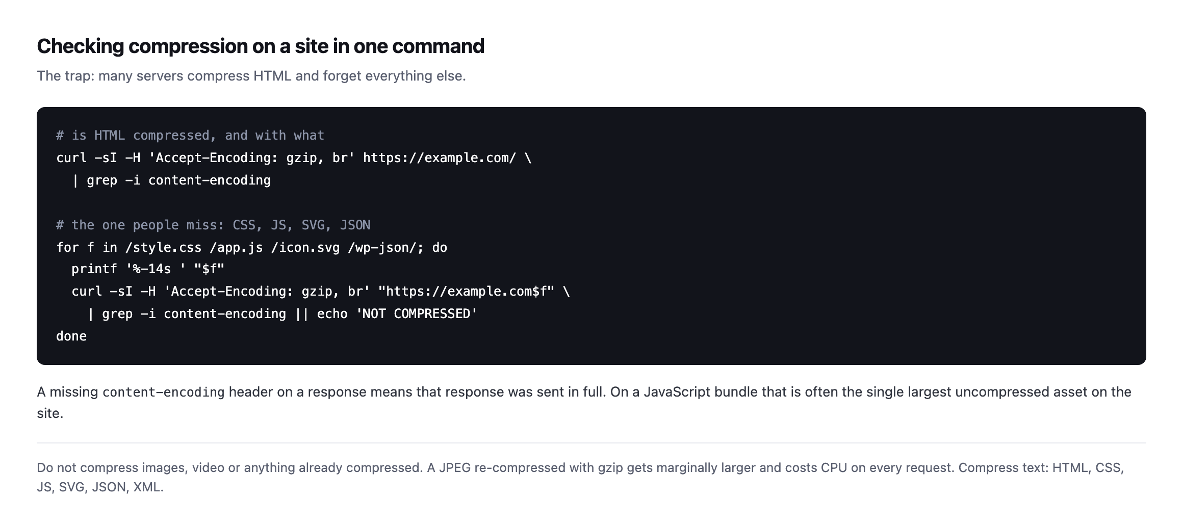 Terminal commands checking content-encoding on the homepage and then on a CSS file, a JavaScript file, an SVG and a REST endpoint, with a note that a missing content-encoding header means the response was sent in full