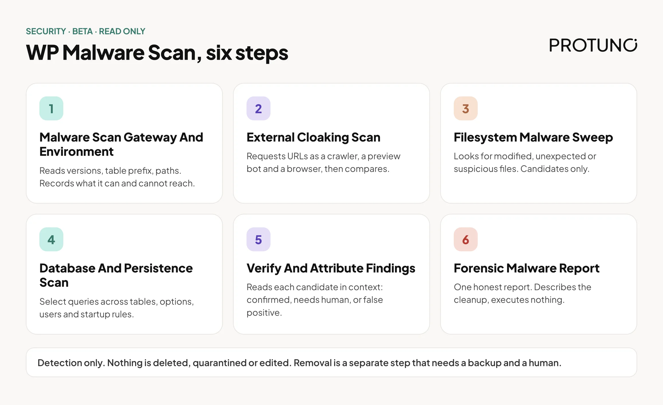 Six numbered cards listing the WP Malware Scan steps: gateway and environment, external cloaking scan, filesystem malware sweep, database and persistence scan, verify and attribute findings, and forensic malware report. A note underneath says detection only, nothing is deleted, quarantined or edited.